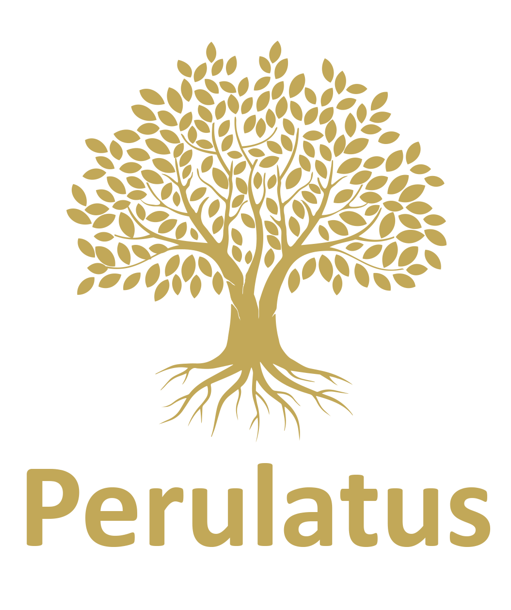 Perulatus